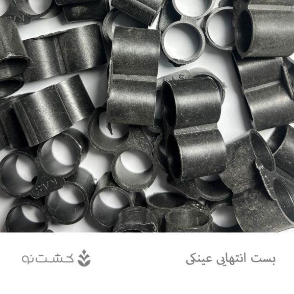بست انتهایی عینکی