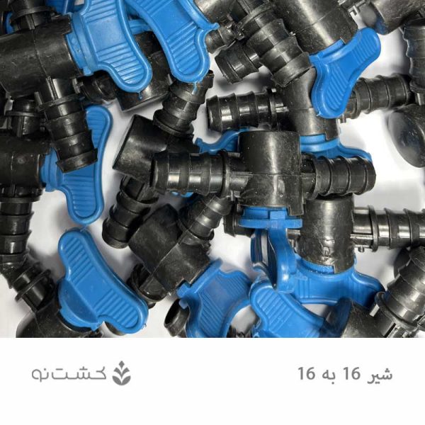 شیر 16 به 16