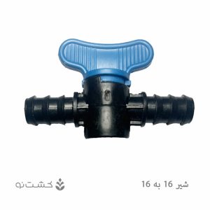 شیر 16 به 16