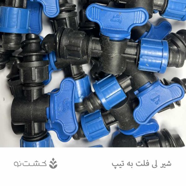 شیر 16 به 16