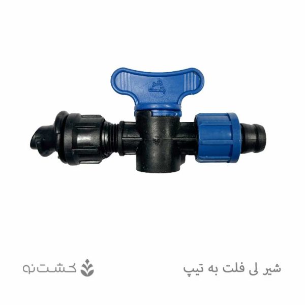 شیر 16 به 16